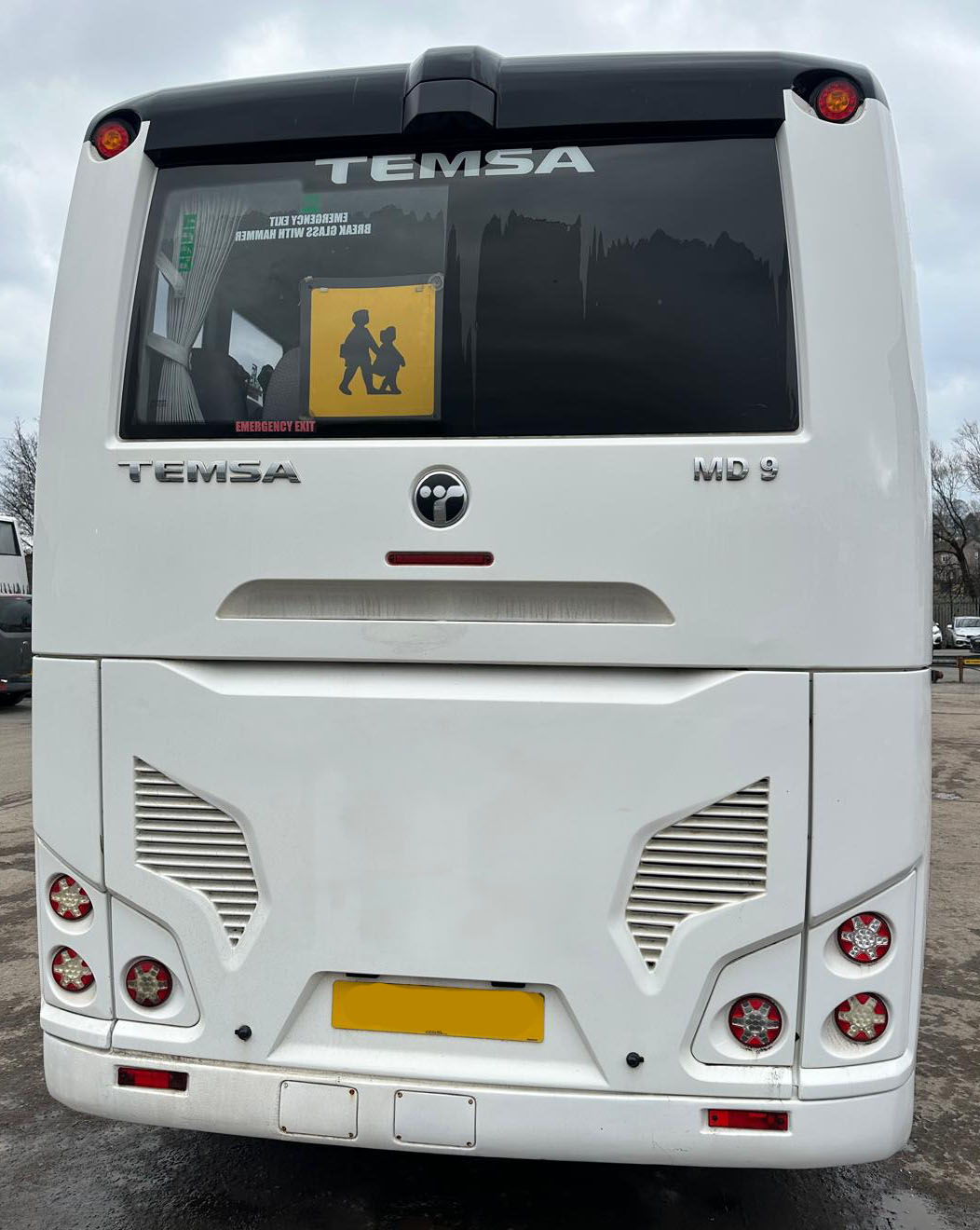 Photo of 2019 Temsa MD9
