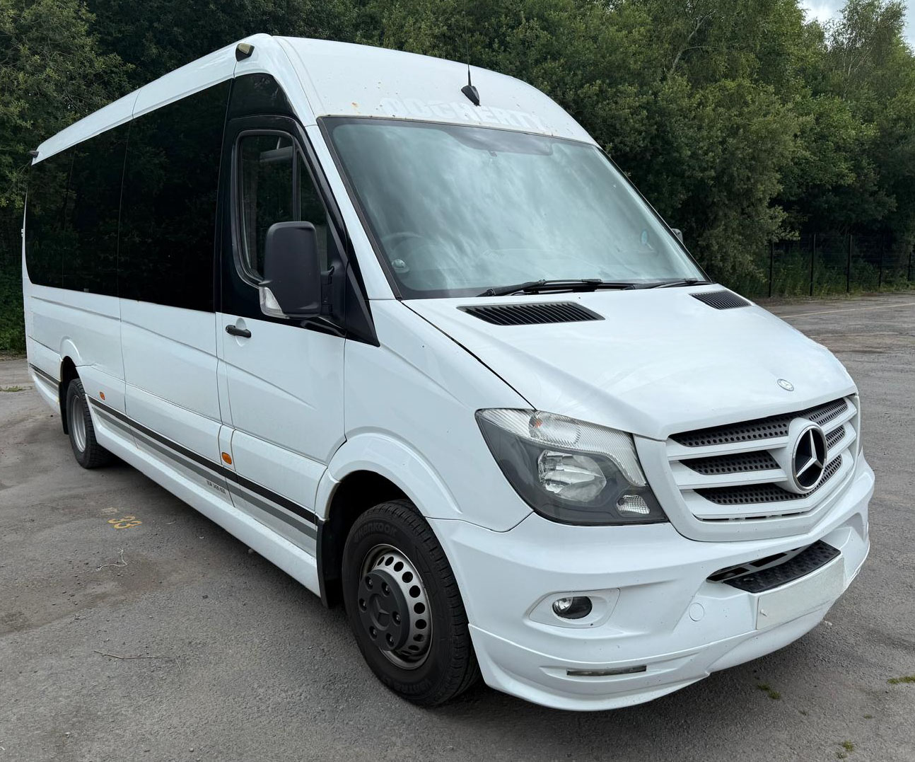 Photo of 2014 Mercedes 516 Sprinter Bluetec