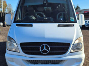 Photo of 2009 Mercedes 515d Ferqui Soroco