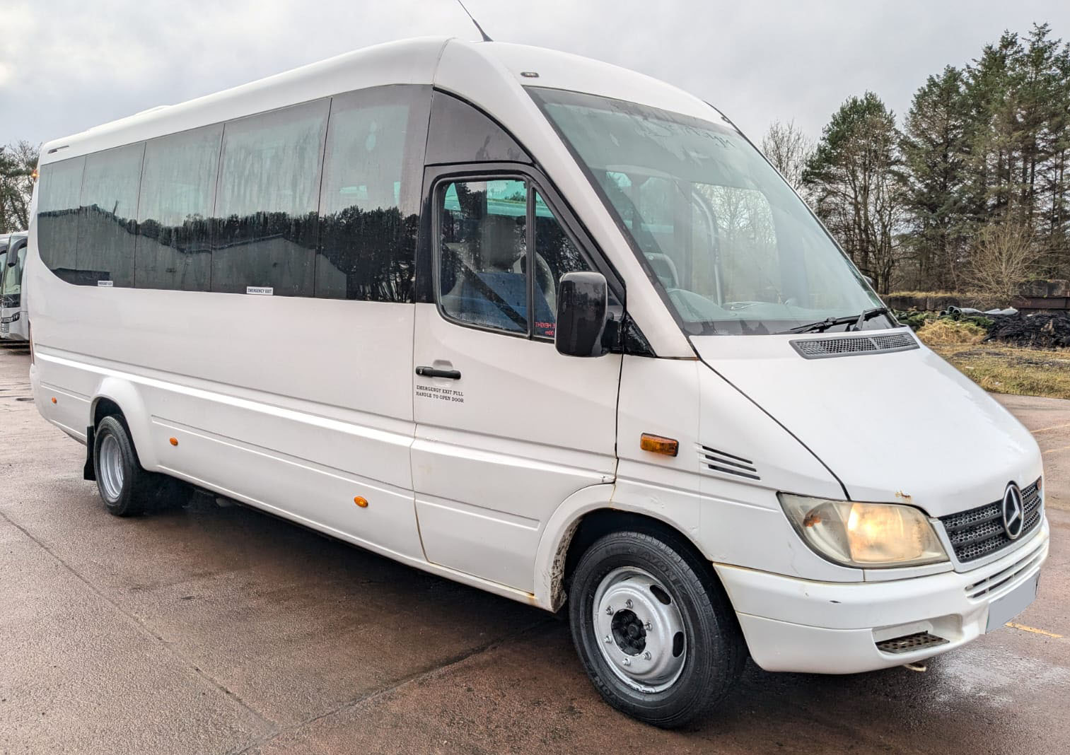 Photo of 2006 Mercedes Ferqui Soroco